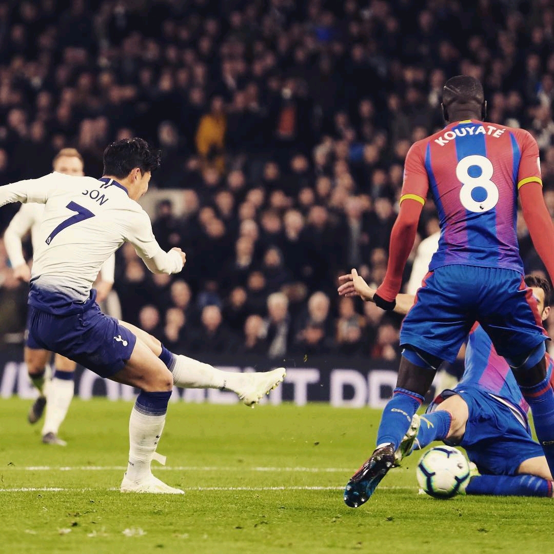 指数的表现 指数的表现